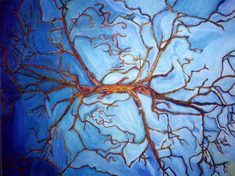 arbre1.jpg