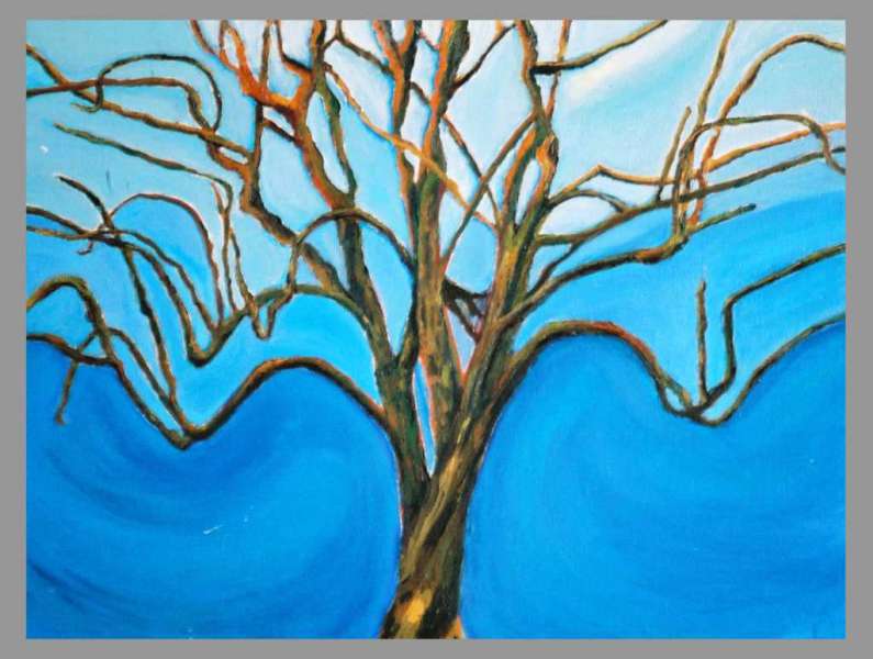 arbre9.jpg
