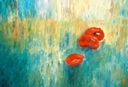 galerie15.jpg